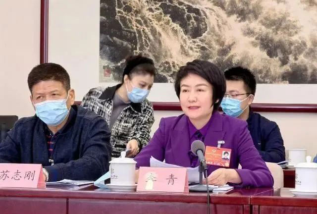 李青参加全国政协十三届五次会议.jpg
